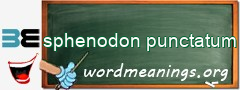 WordMeaning blackboard for sphenodon punctatum